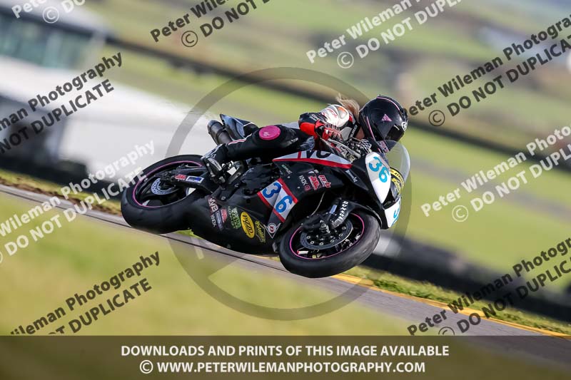 PJ Motorsport 2019;anglesey no limits trackday;anglesey photographs;anglesey trackday photographs;enduro digital images;event digital images;eventdigitalimages;no limits trackdays;peter wileman photography;racing digital images;trac mon;trackday digital images;trackday photos;ty croes